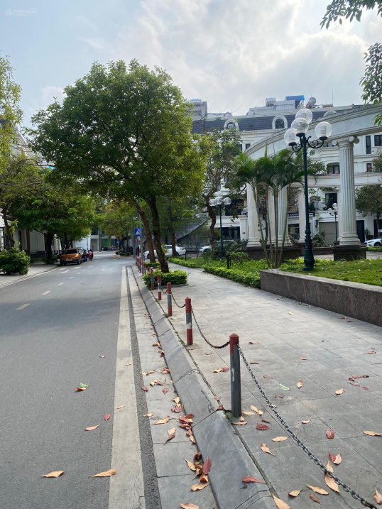 Mặt bằng biệt thự Roman Plaza lô Đông Nam